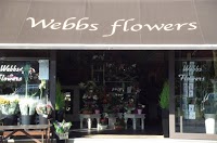 Webbs Flowers 288869 Image 0